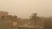 رياح محملة بالأتربة تضرب محافظة الدقهلية وسط تقلبات جوية غير مستقرة