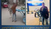 القبض على بائع خضروات في البحيرة لضربه حماراً بالحجارة على رأسه