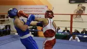 انطلاق اليوم الثاني لبطولة الجمهورية للملاكمة وسط تحضيرات للمنتخب لدورات عالمية