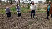 الفيوم تنظم زيارات ميدانية لمتابعة محصول القطن في طامية وسنورس