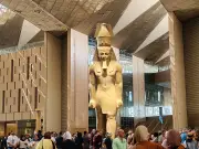 محافظة الجيزة تنظم رحلة ترفيهية لأبناء المؤسسات إلى المتحف المصري الكبير