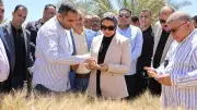 الوادي الجديد يحقق إنجازًا زراعيًا بتجربة إكثار أصناف قمح عالية الجودة بالتعاون مع الطاقة الذرية