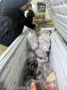 محافظ الجيزة يؤكد استمرار الحملات الرقابية على الأسواق خلال عيد القيامة