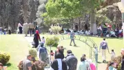 احتفالات شم النسيم تزدهر في الحدائق العامة.. والحشود تتدفق على الحديقة الدولية
