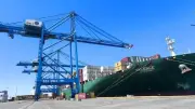 استقبال سفينة الحاويات العملاقة MSC VALENCE بميناء دمياط وتداول 4424 حاوية