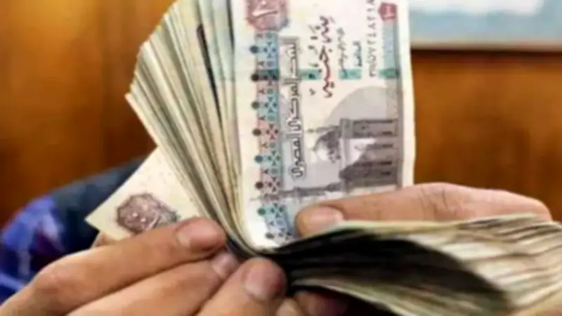 10 آلاف جنيه للمستحقين قبل عيد الأضحى.. شروط الجمع بين معاشين