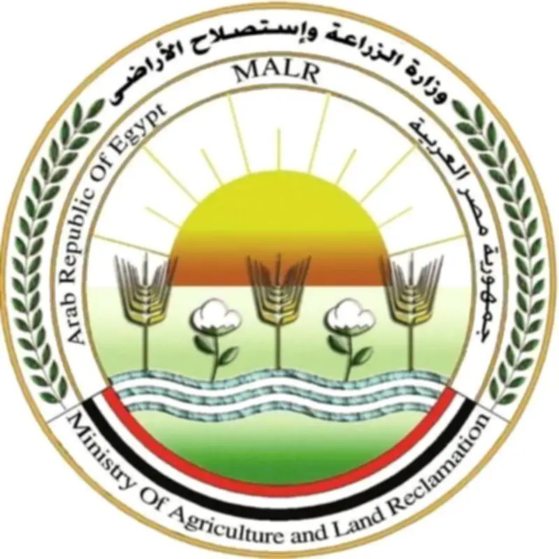 الزراعة تعلن ذبح 10 آلاف أضحية بالمجازر الحكومية مجاناً في أول أيام عيد الأضحى