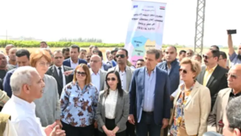 وزير الزراعة: إنتاج القمح يتجاوز 10 ملايين طن وزيادة 600 ألف فدان بالمساحة المنزرعة