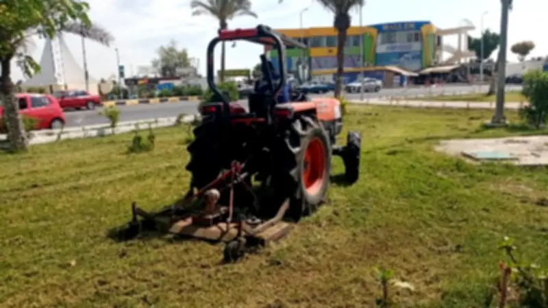 زراعة الأشجار والمسطحات الخضراء بالقنطرة شرق ضمن مبادرة 100 مليون شجرة