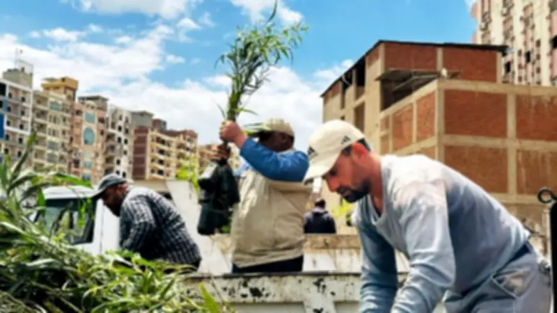 وزيرة التنمية المحلية تتابع تشجير الطريق الدائري ضمن مبادرة 100 مليون شجرة