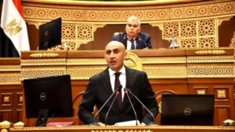 وزير التعليم أمام الشيوخ: 100 مدرسة يابانية جديدة العام المقبل و500 بحلول 2030