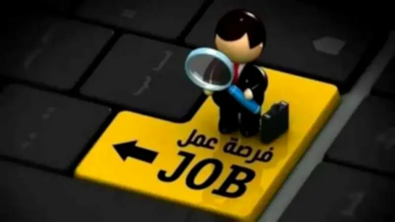 وظائف شاغرة براتب 11 ألف جنيه.. تعرف على التخصصات وشروط التقديم