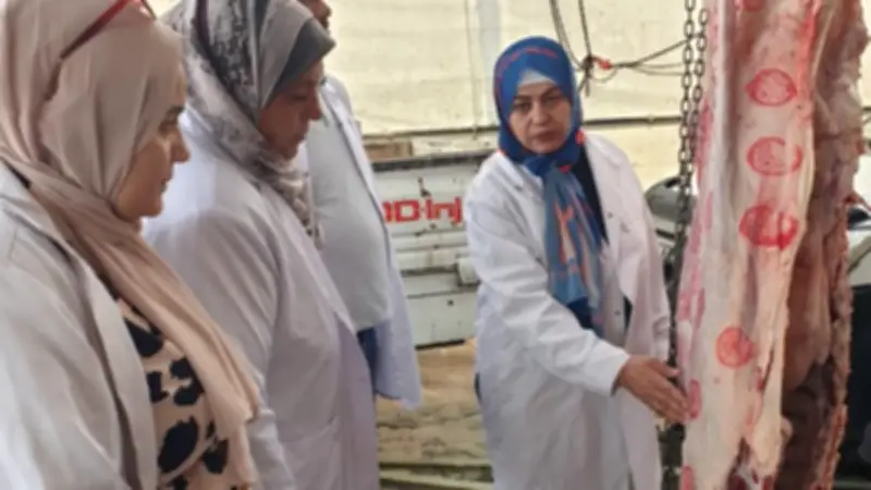 بيطري الشرقية ينهي ذبح 1153 أضحية بالمجان في أول أيام عيد الأضحى
