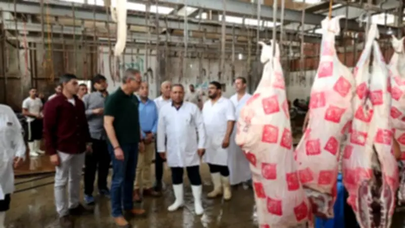 الزراعة: ذبح 11,719 أضحية مجاناً بالمجازر الحكومية في ثاني أيام عيد الأضحى