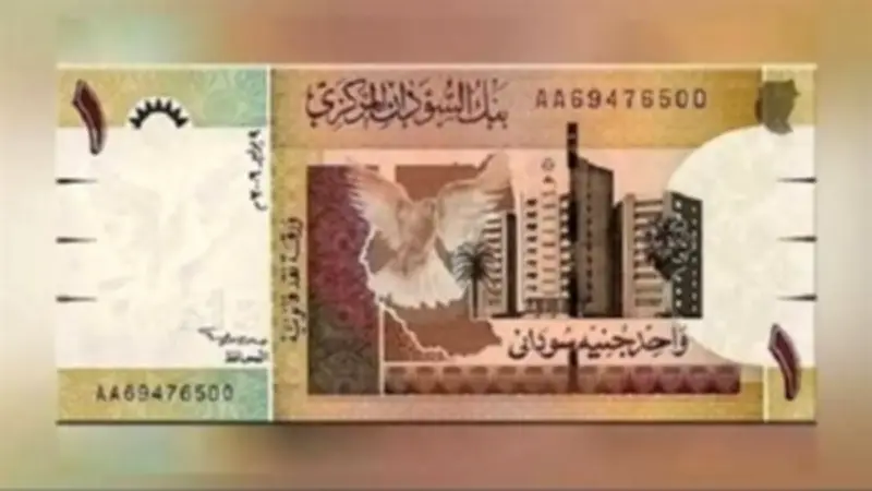 سعر الدولار أمام الجنيه السوداني اليوم الثلاثاء 12 مايو 2026 - تحديث لحظي