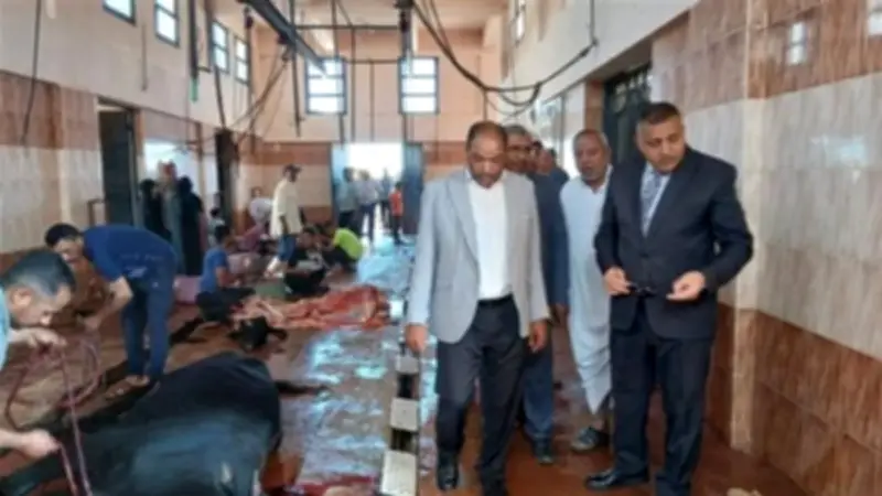 الوادي الجديد: استقبال 120 أضحية مجاناً في مجازر المحافظة أول أيام العيد