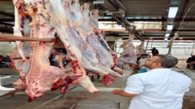 الطب البيطري بأسوان يعلن ذبح 1281 أضحية في المجازر الحكومية خلال عيد الأضحى