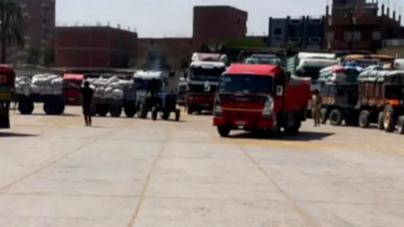 توريد 136 ألف طن قمح بسوهاج واستبعاد 2079 طناً غير مطابقة للمواصفات