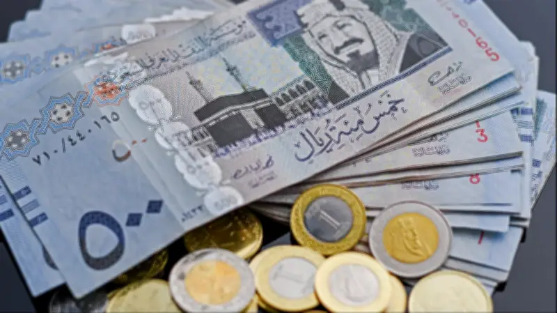 ارتفاع الريال السعودي لـ14 جنيها في البنوك المصرية اليوم الثلاثاء