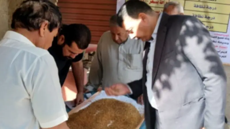 محافظ المنوفية: توريد 140 ألف طن قمح منذ بدء موسم الحصاد