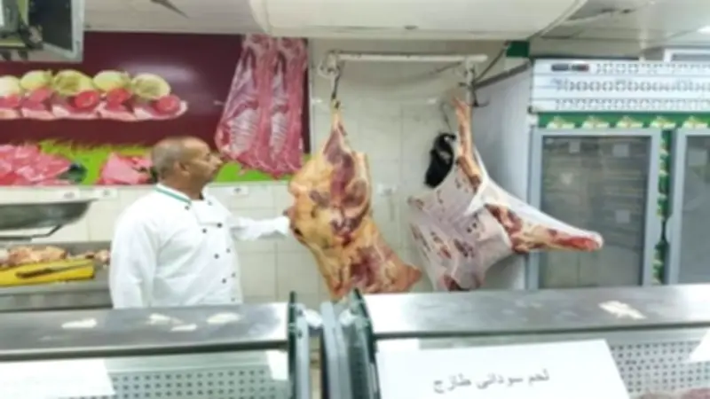 1407 منفذ بيع بالمنيا لتوفير اللحوم والسلع بأسعار مخفضة استعدادًا لعيد الأضحى