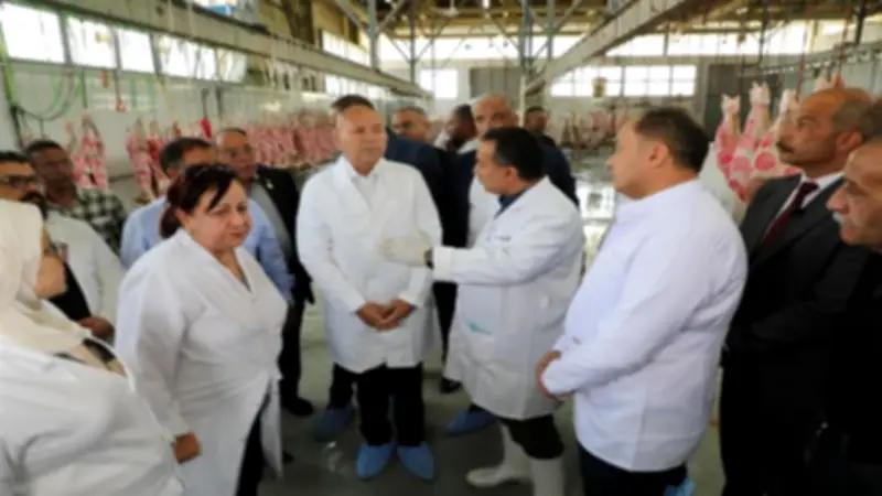 محافظ القاهرة يتفقد مجزر 15 مايو ويؤكد جاهزية المجازر لاستقبال أضاحي العيد