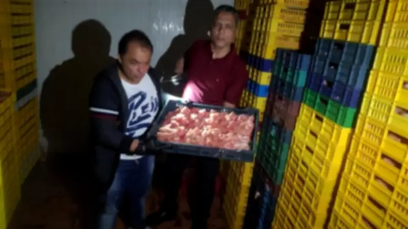 ضبط 1.5 طن دواجن فاسدة داخل مجزر غير مرخص بالغربية قبل عيد الأضحى