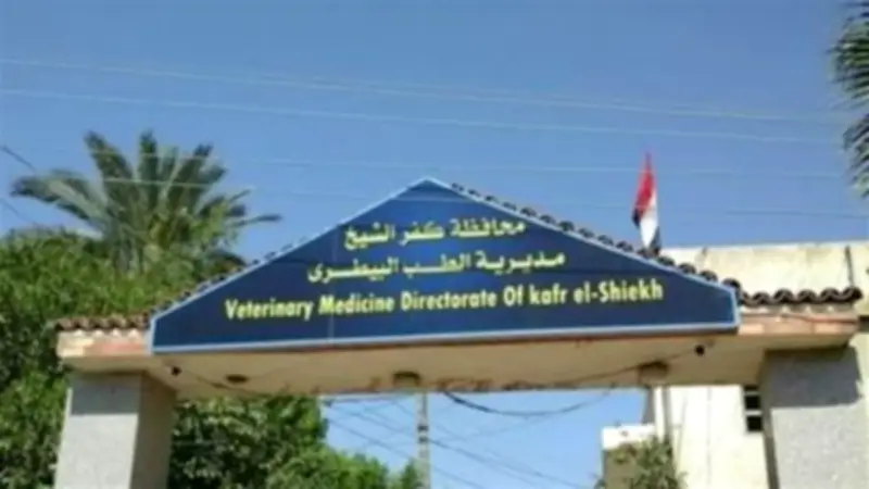 تحصين 155710 طائر ضد الأمراض الوبائية في كفر الشيخ خلال مايو