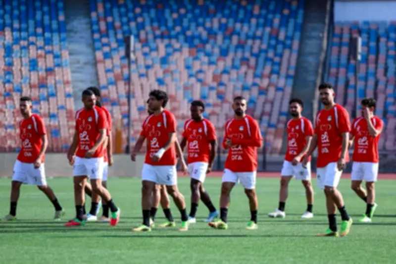 نجم هولندا السابق: منتخب مصر سيتأهل لدور الـ16 بكأس العالم