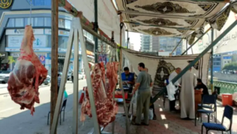 استقرار أسعار اللحوم اليوم السبت 16-5-2026 قبيل عيد الأضحى