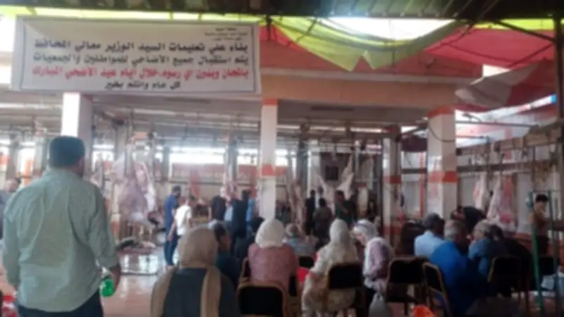 محافظ الغربية: 1623 أضحية ذبحت بالمجازر الحكومية في العيد