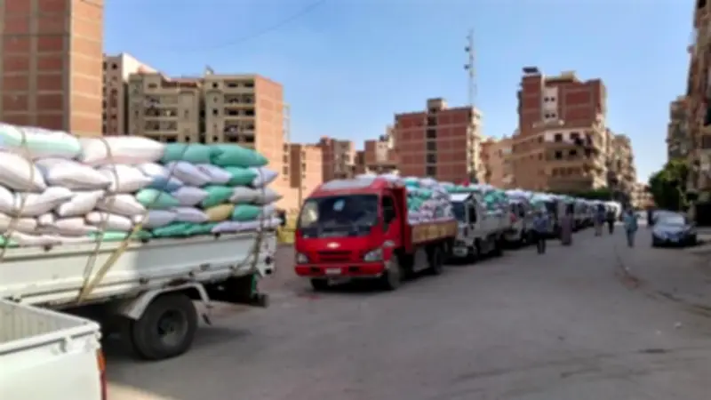 محافظ المنيا: توريد القمح يتجاوز 167 ألف طن منذ انطلاق موسم 2026