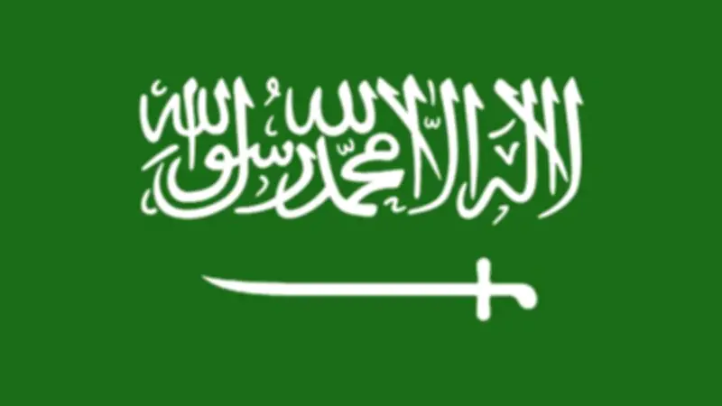السوق السعودية تحيل 17 مشتبهاً بهم بشركة تجزئة للنيابة
