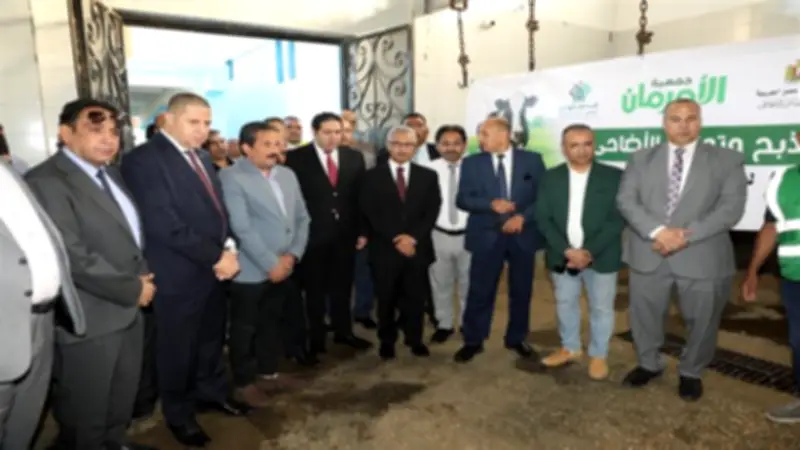 محافظ بني سويف يشهد ذبح 180 أضحية لتوزيعها على الأسر الأولى بالرعاية