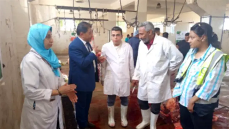 ذبح 180 عجلاً بمجازر الأقصر وتوزيع اللحوم مجاناً على 36 ألف أسرة بعيد الأضحى
