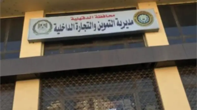 ضبط 187 مخالفة ومصادرة 32 طن مخللات في حملات تموينية بالدقهلية
