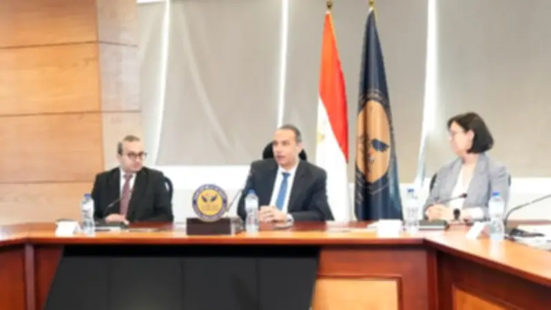1.9 مليون سيدة تستفيد من تمويل المشروعات الصغيرة في 2025
