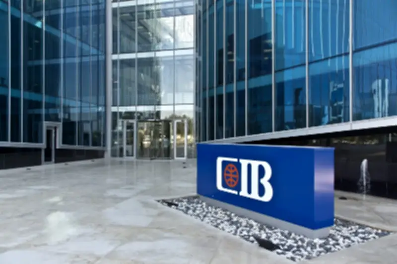 البنك التجاري الدولي يطلق شهادات ادخار بعائد يومي وشهري يصل إلى 19.5%