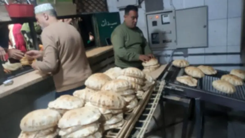 ضبط 2 طن دقيق مدعم في حملات مكبرة على المخابز السياحية