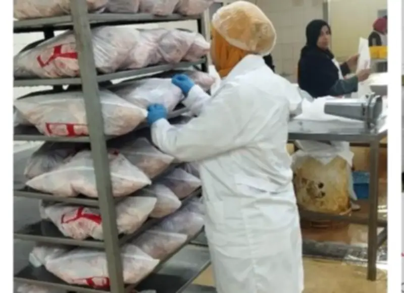 ذبح أكثر من 2 مليون طائر في مجازر الجيزة خلال أسبوع