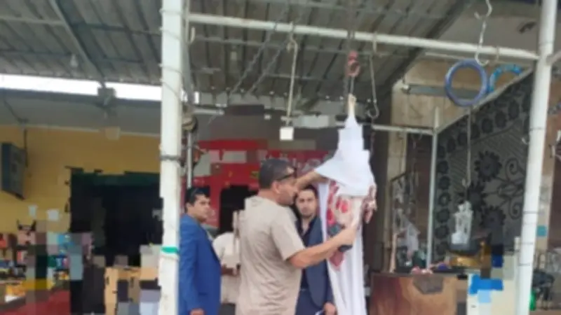 ضبط 2 طن لحوم ودواجن وأسماك غير صالحة في المنوفية