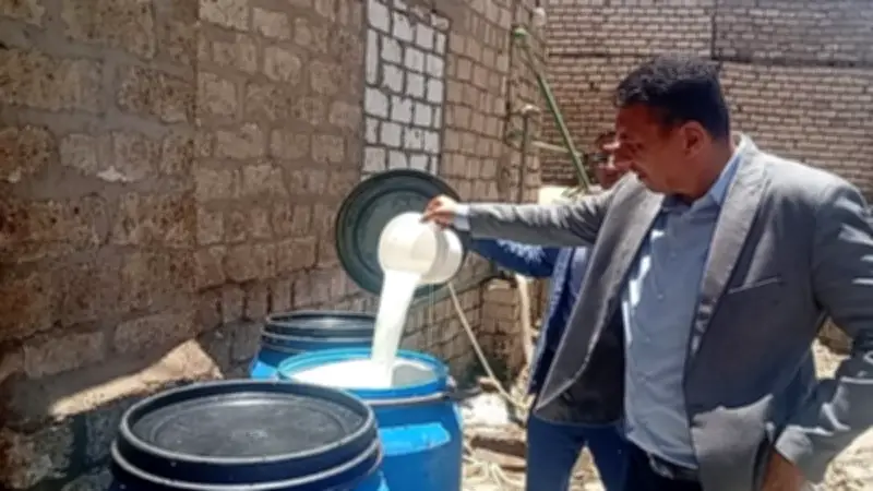 ضبط 2 طن ألبان فاسدة ومواد كيميائية محظورة في 4 معامل ومصنع جبنة بالمنيا