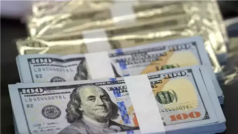 ارتفاع سعر الدولار أمام الجنيه في البنوك المصرية اليوم الأربعاء 20 مايو 2026