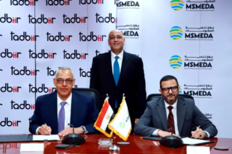 200 مليون جنيه لتنمية المشروعات.. نظام التأجير التمويلي الأفضل