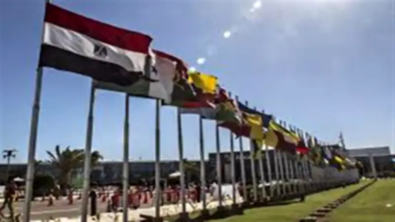 أستاذ علاقات دولية: السياسة الخارجية المصرية عززت الهوية الإفريقية منذ 2014
