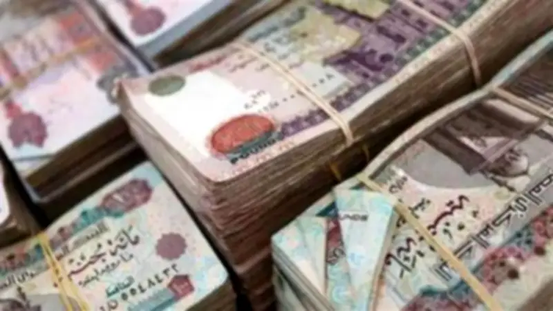 شروط وإجراءات صرف تعويض البطالة 2026: مدة الاستحقاق والنسب المقررة