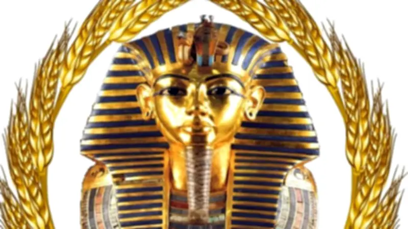 تموين الأقصر يعلن حصاد أبريل 2026: 80 مليون رغيف و99% صرف سلع