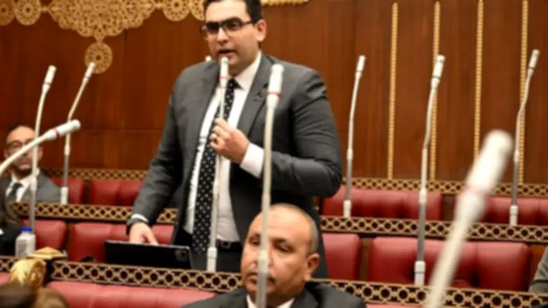 نائب بالشيوخ: مشروع قانون إلزام المباني الجديدة بالطاقة الشمسية خطوة لدعم رؤية مصر 2030