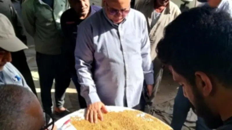 الدقهلية: توريد 205 آلاف طن قمح للمواقع التخزينية والصوامع