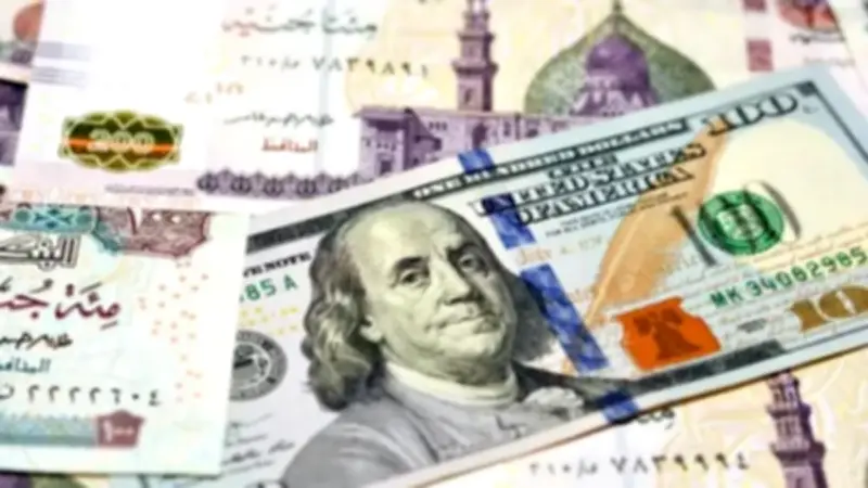 سعر الدولار اليوم الخميس 21 مايو 2026 مستقر في البنوك المصرية